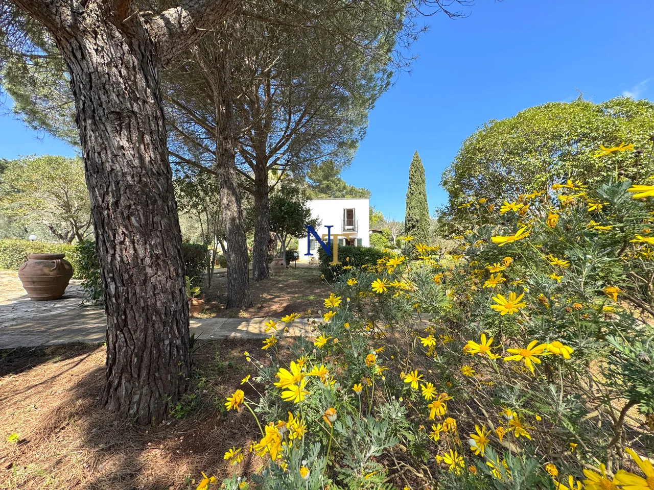 Villa with Historic Trullo for Sale in the Countryside of Ostuni