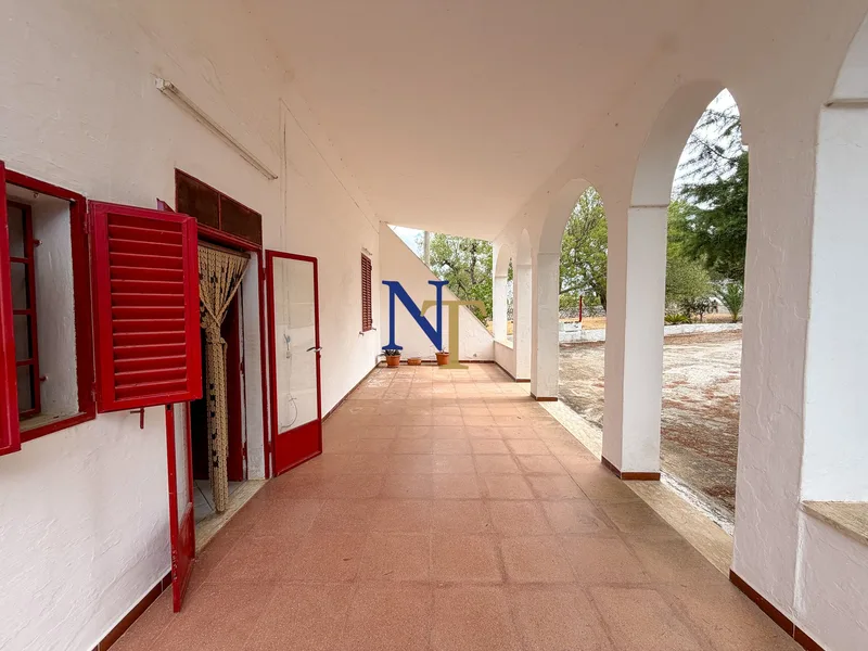 Countryside Property to Renovate with 7,200 sqm of Land for Sale near Ostuni — 5