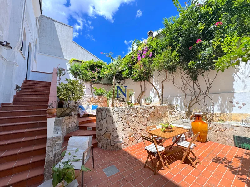Historic Palazzo with Private Garden and Panoramic Terrace for Sale in Torre Santa Susanna — 7