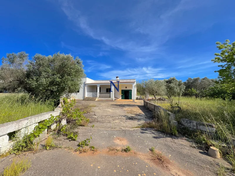 Villa to Renovate with 3,000 sqm of Land for Sale near Ostuni — 4