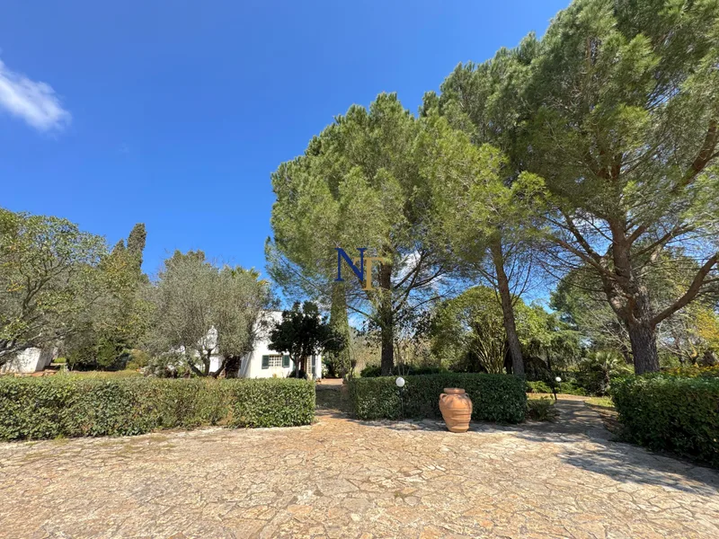 Villa with Historic Trullo for Sale in the Countryside of Ostuni — 3